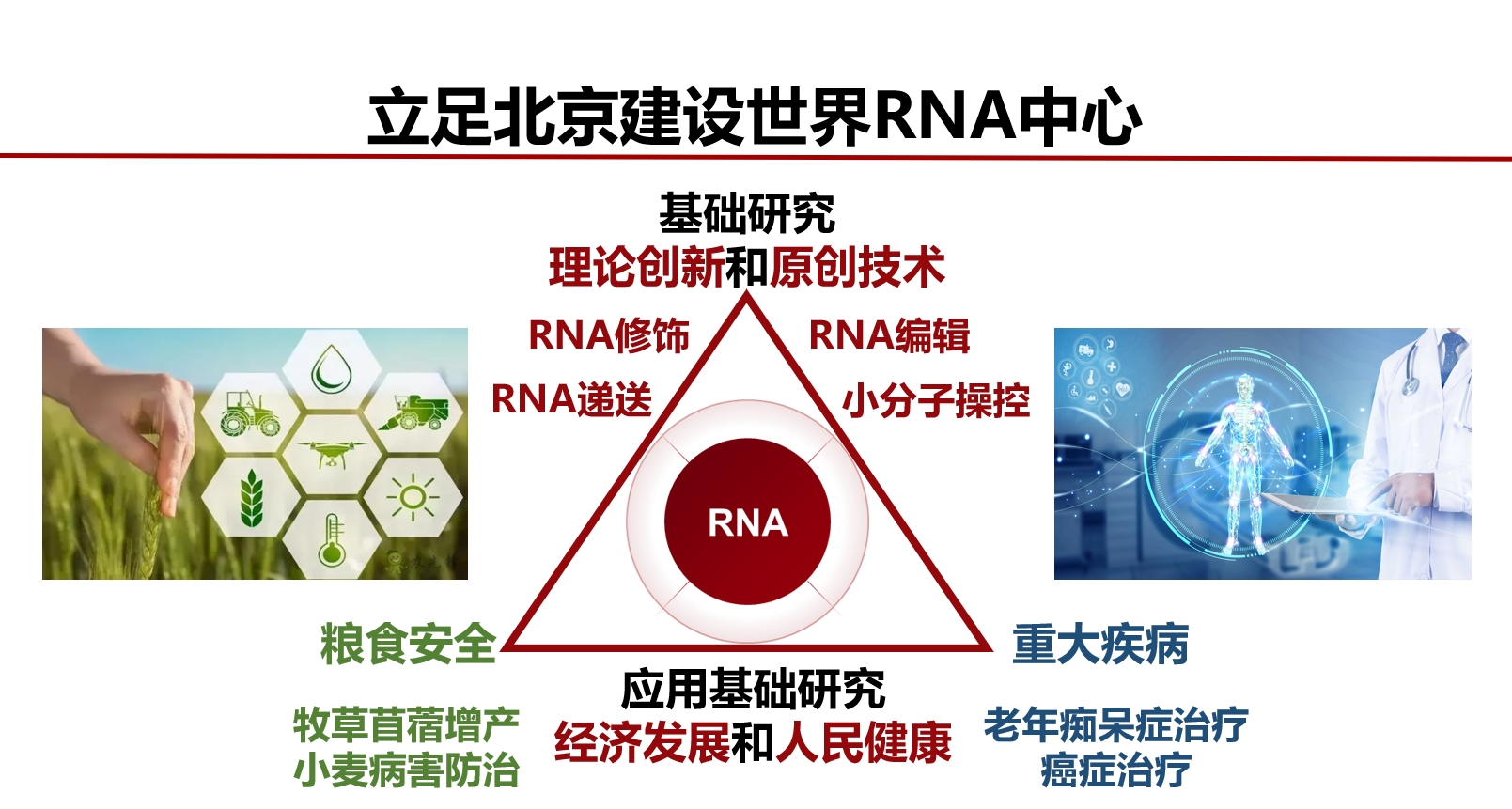 RNA战略研究布局