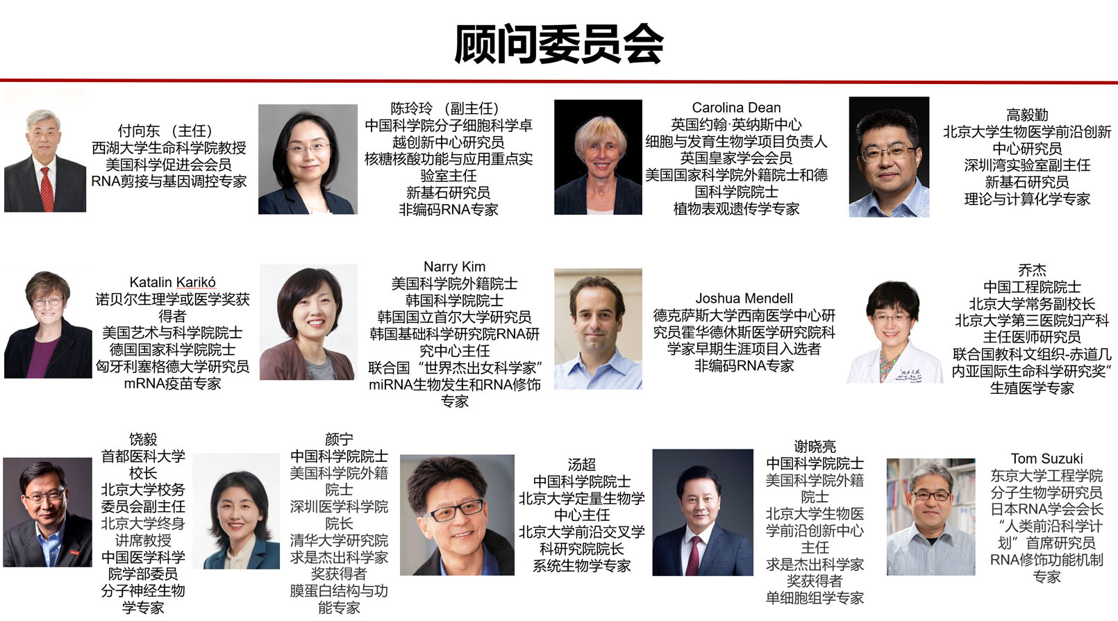 顾问委员会图